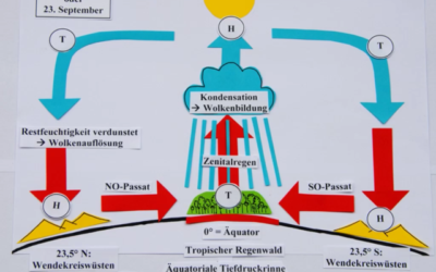 Video: Der Passatkreislauf