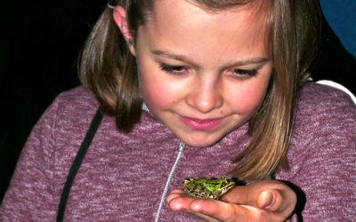 Laubfrosch- exkursion mit Ringelnatter