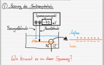 Ruhepotential – Teamarbeit von Catja Bier und Markus Christian