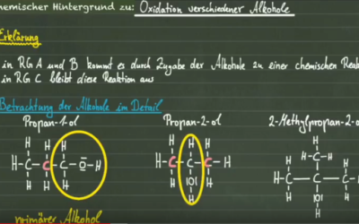 Oxidation verschiedener Alkohole