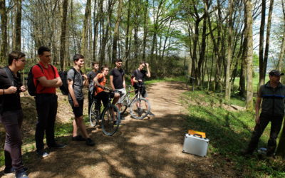Was tun bei Schadinsekten im Wald – Gift oder kein Gift ist hier die Frage