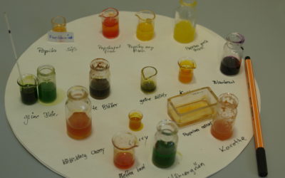 Begabtenförderung Biophysikalische Untersuchungs-Methoden