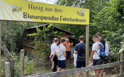 Kulinarische Exkursion in die Tiefen des Steigerwaldes des P-Seminars “Chemie und Küche”