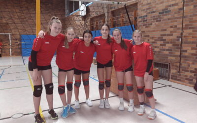 Stadtmeister im Volleyball (WK III)