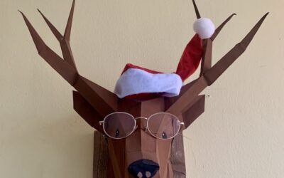 Weihnachtsgrüße aus der OGTS