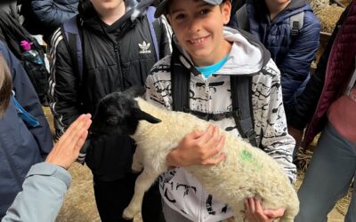 Fünf Tage im Rhöniversum (Klasse 6d)