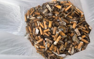 Gemeinsam für eine saubere Umwelt – Zigarettenkippen-Sammelaktion der 7. Klassen