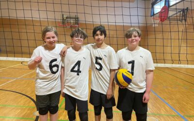 Volleyball Regionalfinale der Jungen IV