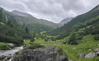 AlpenX 2026 – Blog