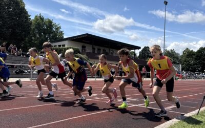 WK IV Mixed Leichtathletik wird oberfränkischer Meister