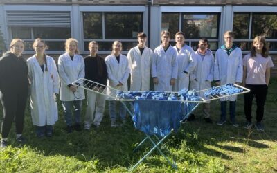 Blau gemacht – mit Indigo